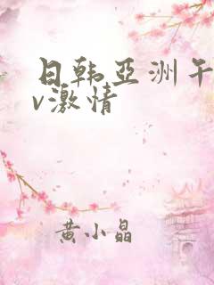 日韩亚洲午夜av激情