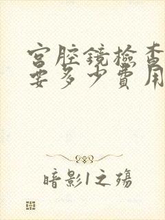 宫腔镜检查一般要多少费用