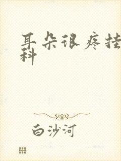 耳朵很疼挂什么科