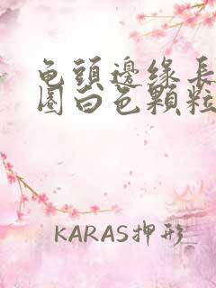 龟头边缘长了一圈白色颗粒有点痒