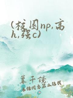 (校园np,高h,强c)