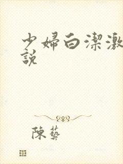 少妇白洁激情小说