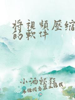 将视频压缩大小的软件