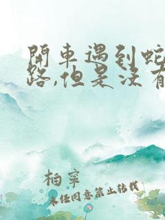 开车遇到蛇过马路,但是没有压到它