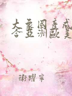 大象国产成人综合亚洲欧美在线