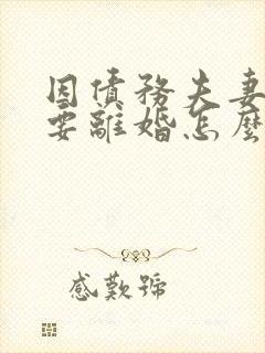 因债务夫妻一方要离婚怎么办