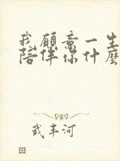 我愿意一生永远陪伴你什么歌