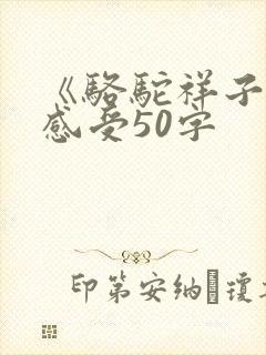 《骆驼祥子》的感受50字