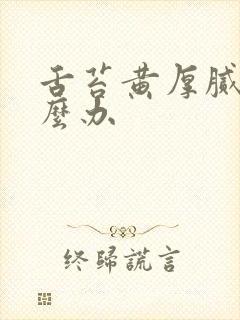 舌苔黄厚腻 怎么办