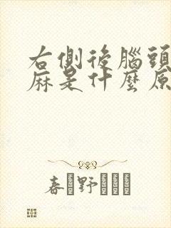 右侧后脑头皮发麻是什么原因