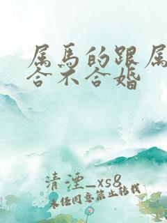 属马的跟属蛇的合不合婚