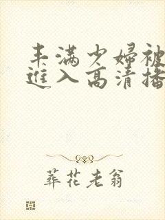 丰满少妇被猛烈进入高清播放,