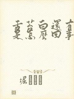 舌苔白还有口臭是怎么回事