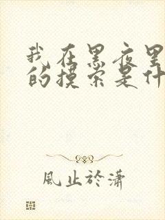 我在黑夜里仔细的摸索是什么歌