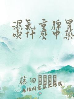 湿气重脾胃不好吃什么中药