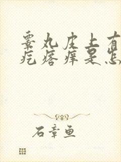 睾丸皮上有个小疙瘩痒是怎么回事啊