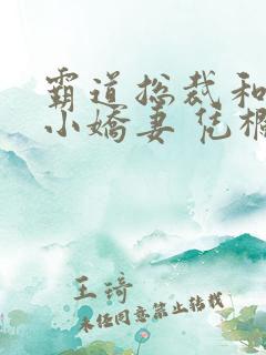 霸道总裁和他的小娇妻 凭栏望