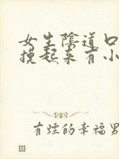 女生阴道口里面摸起来有小疙瘩