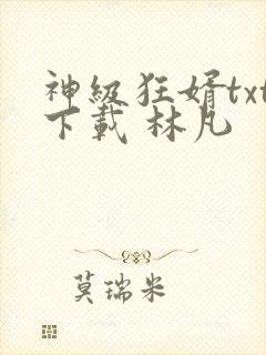 神级狂婿txt下载 林凡