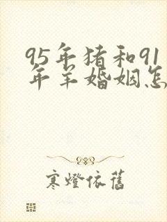 95年猪和91年羊婚姻怎么样