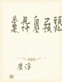 梦见自己头流血是什么预兆女人