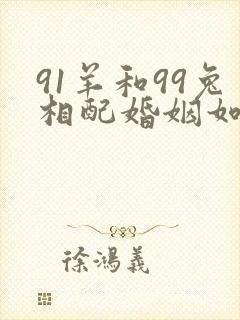 91羊和99兔相配婚姻如何