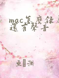 mac怎么录屏还有声音