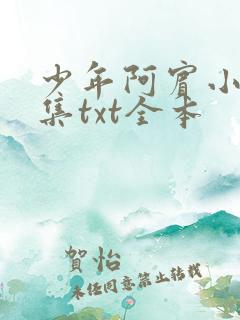 少年阿宾小说全集txt全本