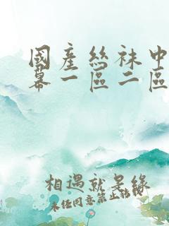 国产丝袜中文字幕一区二区丨