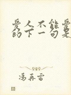 爱人不能爱太满的下一句是什么