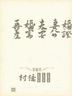 再婚夫妻婚前财产需要公证吗?