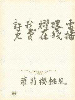 许我耀眼电视剧免费在线播放