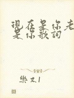 现在是你老了也是你歌词