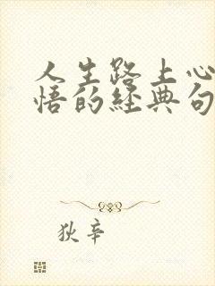 人生路上心情感悟的经典句子