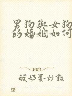 男狗与女狗相配的婚姻如何