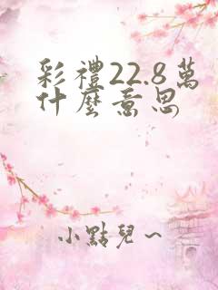 彩礼22.8万什么意思