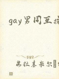 gay男同互操