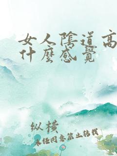 女人阴道高潮是什么感觉