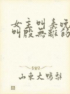 女主叫秦晚男主叫殷无离的小说