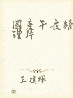 国产午夜精品论理片