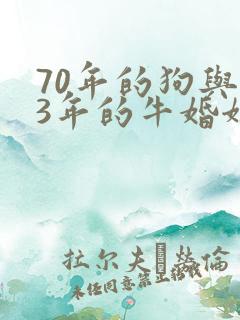 70年的狗与73年的牛婚姻配吗