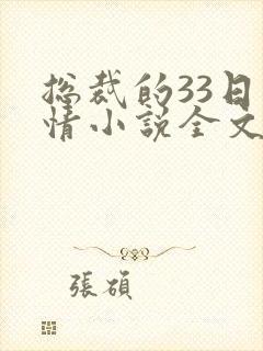 总裁的33日索情小说全文免费