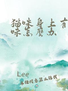 猫咪身上有尿骚味怎么办