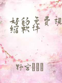 好的免费视频压缩软件