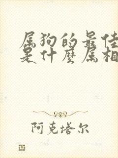 属狗的最佳配偶是什么属相?