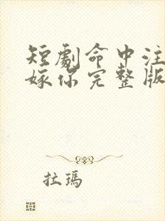 短剧命中注定我嫁你完整版免费观看