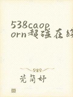 538caoporn超碰在线播放