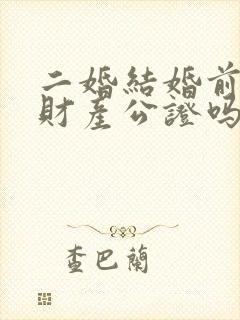 二婚结婚前需要财产公证吗