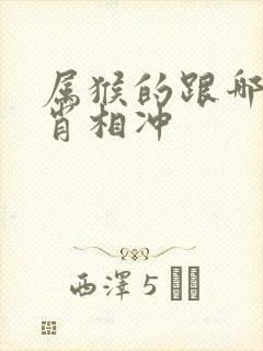 属猴的跟哪个生肖相冲