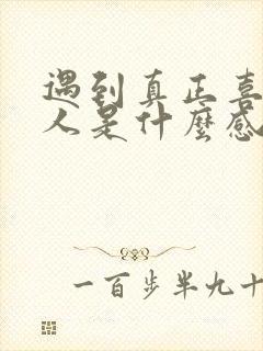 遇到真正喜欢的人是什么感觉